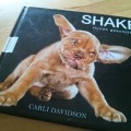 Shake Hunde Geschüttelt Bilder von Carli Davidson